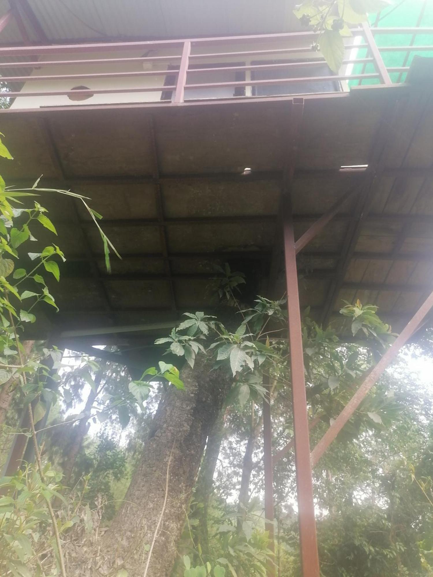 Jungle Crown Organic Homestay Nagarkot Chambre photo